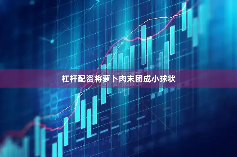杠杆配资将萝卜肉末团成小球状