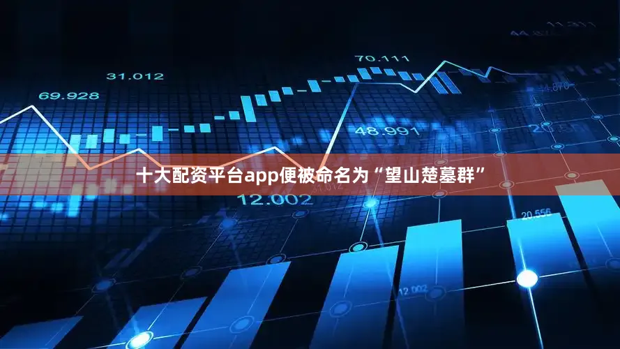 十大配资平台app便被命名为“望山楚墓群”