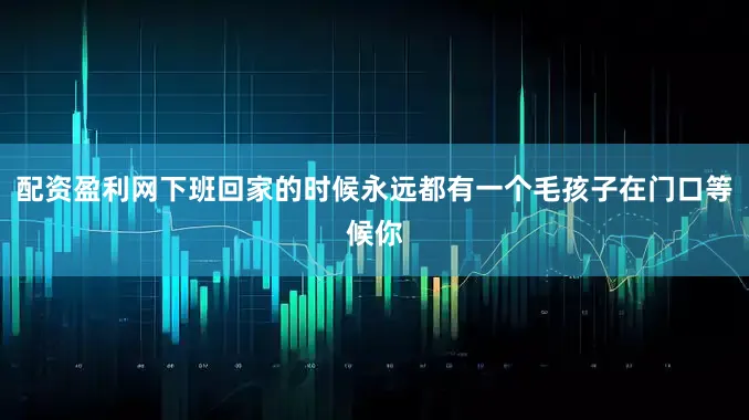 配资盈利网下班回家的时候永远都有一个毛孩子在门口等候你
