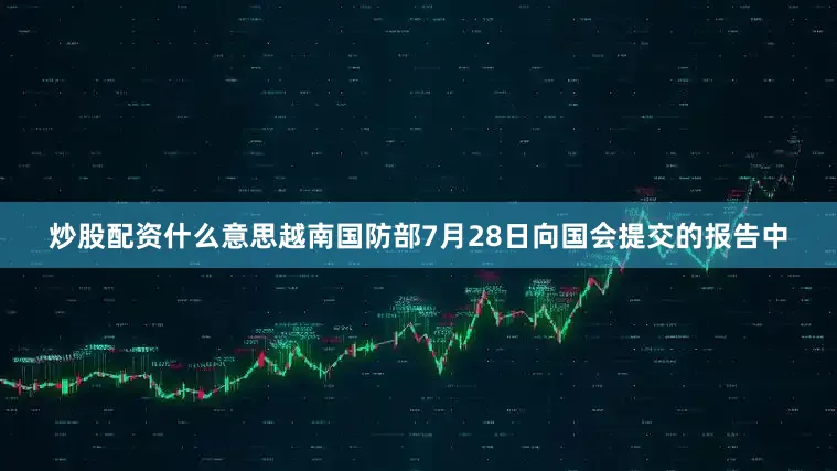 炒股配资什么意思越南国防部7月28日向国会提交的报告中